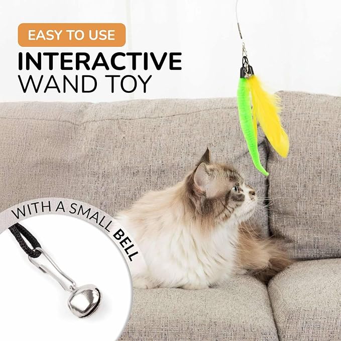 PAWSITIVE Interactive Cat Toys - Retractable Feather Wand with Refill Set 12PCS - Perfect for Indoor Cats to Chase, Exercise &amp; Bond with Their Owners