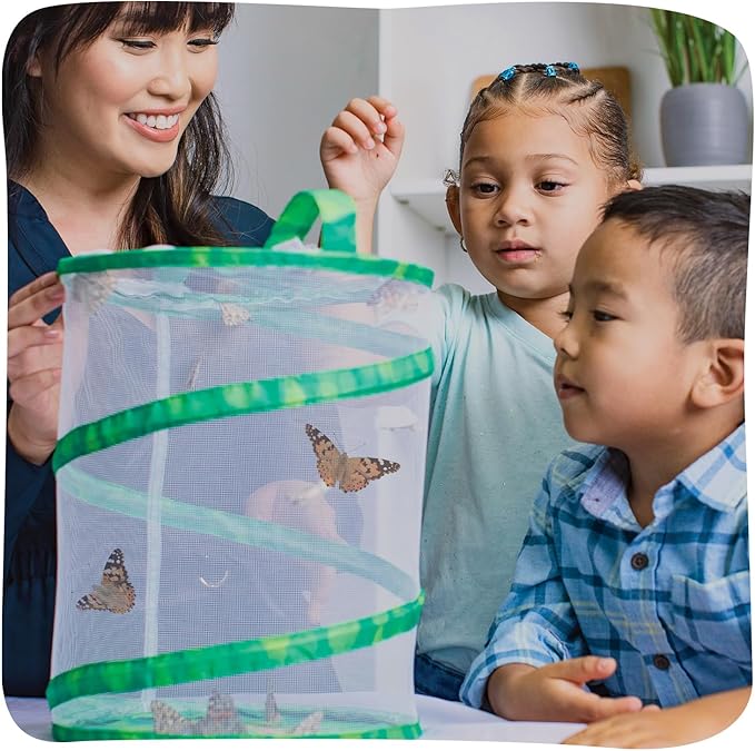 Insect Lore Butterfly Garden Kit – 10 Live Caterpillars, Habitat, STEM Journal, 2 Chrys-a-lid Holding Logs &amp; Feeder – Grow &amp; Release Painted Lady Butterflies – Educational Science Toy