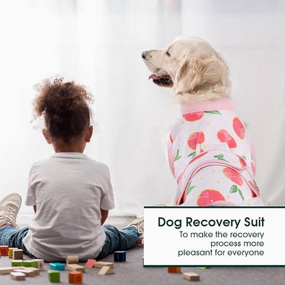 Kuoser Recovery Suit for Dogs Cats After Surgery, Professional Pet Recovery Shirt Dog Abdominal Wounds Bandages, Substitute E-Collar &amp; Cone,Prevent Licking Dog Onesies Pet Surgery Recovery Suit