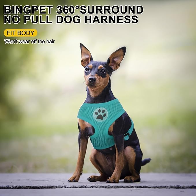 BINGPET No Pull Dog Harness,All Weather Mesh Step-in Vest Harness for Small Dogs,Breathable Mesh Puppy &amp; Cat Harness
