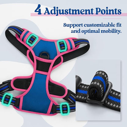 rabbitgoo Dog Harness No Pull with 2 Leash Clips, Adjustable Soft Padded, Reflective Oxford No Choke Pet Vest with Easy Control Handle for Large Dogs, Blue &amp; Hot Pink, S