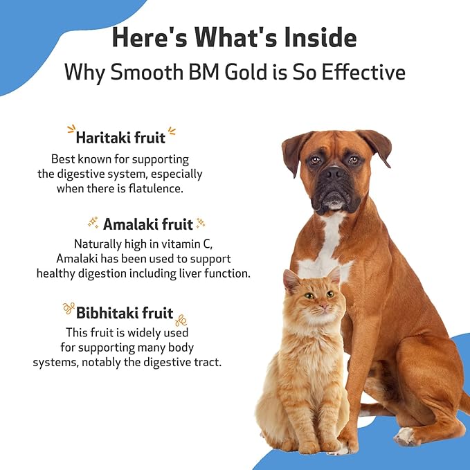 Pet Wellbeing Smooth BM Gold for Dog &amp; Cats - Constipation Relief &amp; Stool Softener, Supports Healthy Bowel Movements - Natural Herbal Supplement 4 oz (118 ml)