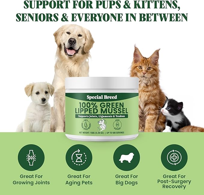 Green Lipped Mussel Powder for Dogs &amp; Cats - 100% New Zealand Green Lipped Mussels - Natural Hip &amp; Joint Supplement for Joints, Tendons, Ligaments, Muscles - 150 Grams - Up to 500 Servings