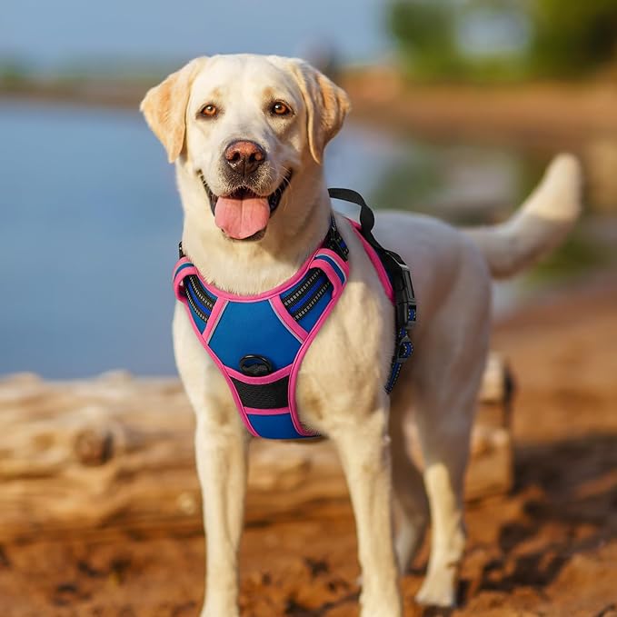 rabbitgoo Dog Harness No Pull with 2 Leash Clips, Adjustable Soft Padded, Reflective Oxford No Choke Pet Vest with Easy Control Handle for Large Dogs, Blue &amp; Hot Pink, S