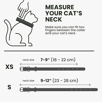 BRONZEDOG Leather Cat Collar with Removable Bells Non Breakaway Kitten QR Tag for Girl Boy (9" - 12" Cats/Mini Dogs, Black &amp; Gold)