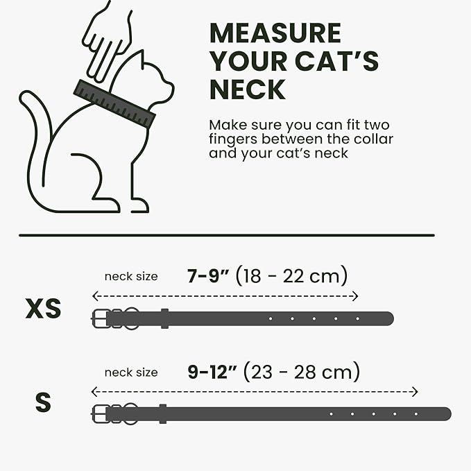 BRONZEDOG Leather Cat Collar with Removable Bells Non Breakaway Kitten QR Tag for Girl Boy (7" - 9" for Cats, Black &amp; Silver)
