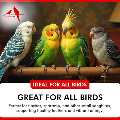Morning Bird Calcium Plus Powder for Birds 6 oz – Calcium Carbonate Powder with Magnesium Glycinate &amp; Vitamin D – Bone Strength &amp; Immune Support Supplement – Calcium Formula for All Bird Sizes