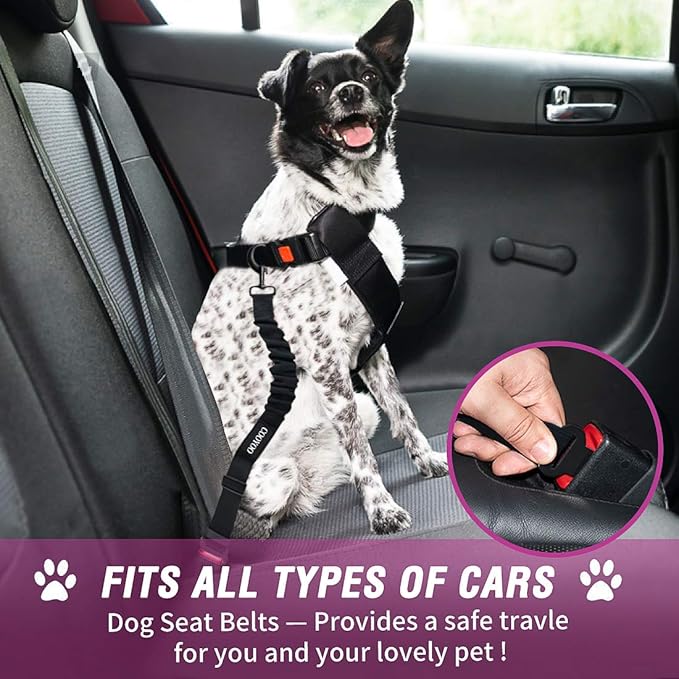 COOYOO Dog Seat Belt,3 Piece Set Retractable Dog Car Adjustable Seatbelts for Vehicle Nylon Pet Safety Heavy Duty &amp; Elastic &amp; Durable Car Harness for Dogs