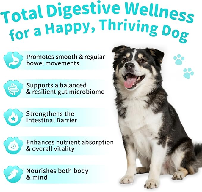 Probiotics for Dogs, Digestive Enzymes for Gut Health Support, Dog Fiber Supplement with Pumpkin for Diarrhea &amp; Bowel Support, Upset Stomach &amp; Gas Relief, Constipation - 60 Count Chicken Flavor
