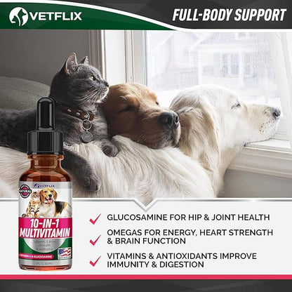 Pet Vitamins 10 in 1 - Made in USA - Glucosamine for Dogs &amp; Cats - Dog Supplement for Pet Joint Health - Natural Cat, Dog Multivitamin - All Ages &amp; Breeds - Folic Acid for Cats &amp; Dogs Immune - 2 Fl Oz