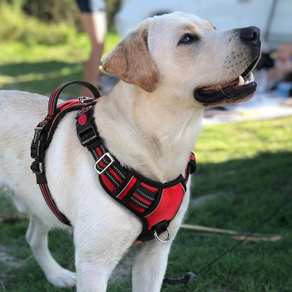 rabbitgoo Dog Harness for Large Dogs, No Pull Pet Vest with 3 Buckles, Adjustable Soft Padded Pet Harness with Easy Control Handle and Reflective Strips, Red, L