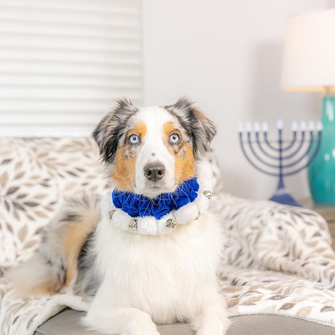 Huxley &amp; Kent Ruff Pet Scrunchy | Hanukkah (Medium) | Festive Christmas/Holiday Neckwear for Dogs/Cats | Fun Stretchable Costume Accessory | Soft Collar with Bells