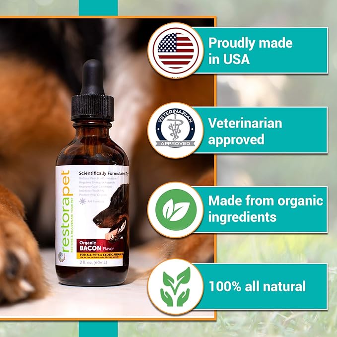 RestoraPet 4-Pack Dog &amp; Cat Beef Liquid Multivitamin | Dog Arthritis Pain Relief | Hip &amp; Joint Vitamins for Dogs - Anti Inflammatory Supplement for Dogs &amp; Cats | Organic &amp; Non-GMO, Vet Approved
