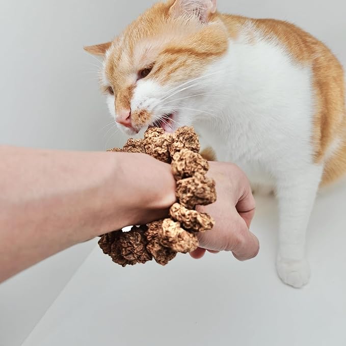 Natural Silvervine Gall Fruit Cat-Attracting Bracelet,Interactive Cat Toy for Indoor Cats,Cat Chew Toy with Gallfruit | Catnip &amp; Silvervine Alternative, Stress Relief &amp; Gift