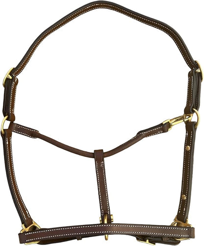 Leaders 3/4" Leather Halter for Horses with Customized Engraved Name Plate Brown Leather with Solid Brass Hardware