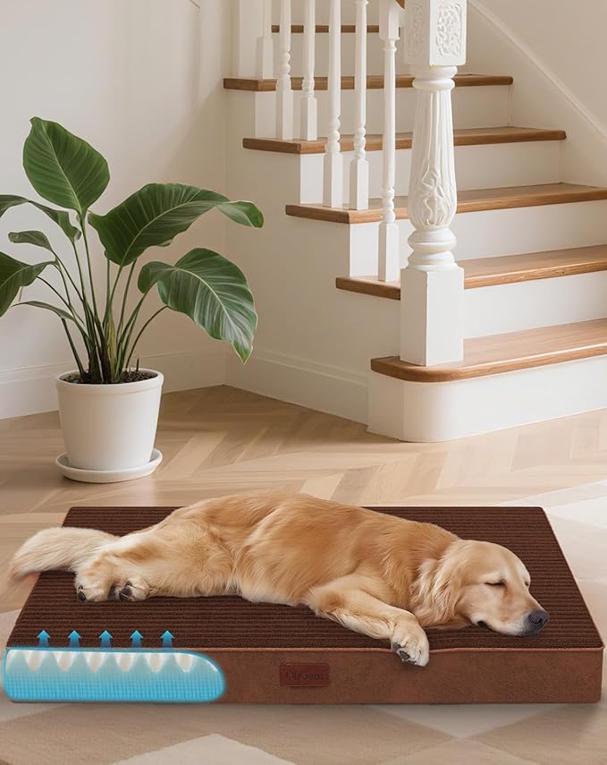 OhGeni Orthopedic Waterproof &amp; Machine Washable Dog Bed for Medium Large Pets, Suitable for Crates, Cat Mat with 25D Egg Crate Foam, Non-Slip Bottom &amp; Removable Cover, 35 Inches(Brown)