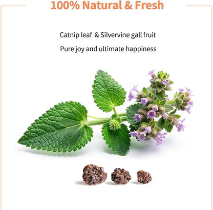 Catnip &amp; Silvervine Powder – 15g Blend of Silver Vine Gall Fruit &amp; Pure Catnip, Non-Addictive, Suitable for All Cat Ages, Multi-Play Use for Cat Toys, Scratchers &amp; Protecting Furniture