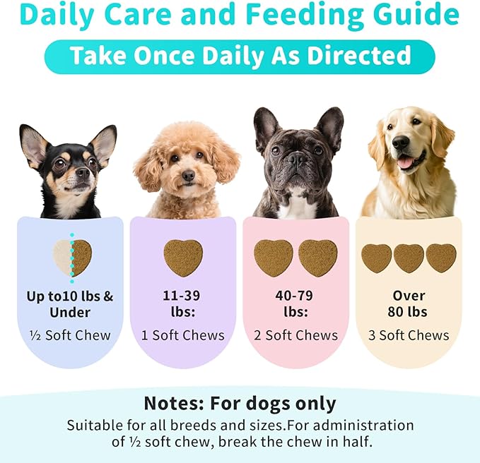 Probiotics for Dogs, Digestive Enzymes for Gut Health Support, Dog Fiber Supplement with Pumpkin for Diarrhea &amp; Bowel Support, Upset Stomach &amp; Gas Relief, Constipation - 60 Count Chicken Flavor