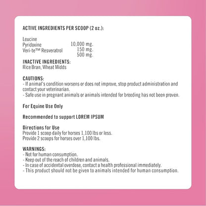 Formula 707 MetaStable Pellets for Horses 5 lb Bag – 40 Servings – University-Studied Support for Horses with Laminitis, Insulin Resistance &amp; Metabolic Disorders