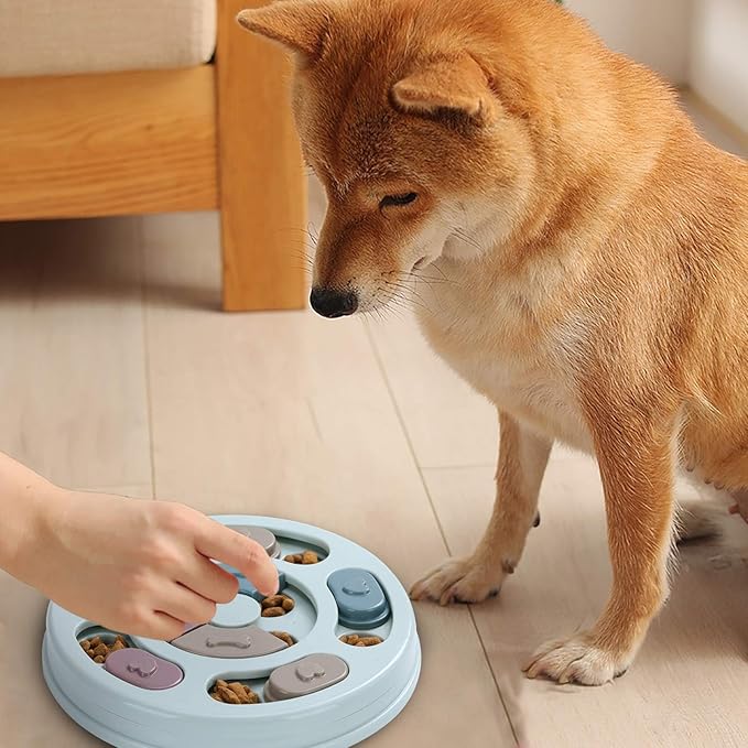 DR CATCH Dog Puzzle,Dogs Food Toys for IQ Training &amp; Mental Enrichment,Dog Treat Puzzle(Blue)