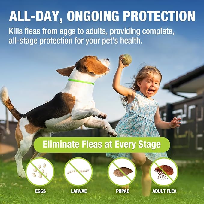 EcoVenger Flea &amp; Tick Collar Repellent 2-Pack Green, Fits Both Dogs &amp; Cats, Built-in Pant-Based Formula Strong Repellency Slow Release, Lasting Deterrence and Protection, Pleasant Aroma, Waterproof