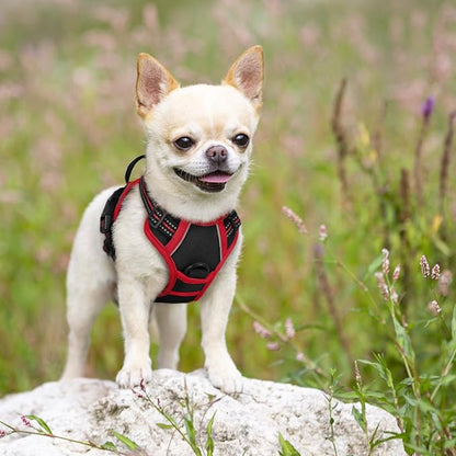 rabbitgoo Dog Harness No Pull with 2 Leash Clips, Adjustable Soft Padded, Reflective Oxford No Choke Pet Vest with Easy Control Handle for Puppy, Black &amp; Red, XS