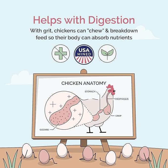 Chicken Grit for Layer &amp; Grower Chickens Age 8-20+ Weeks - 100% Natural Mineral Chicken Grit Quartzite, Poultry Grit, USA Mined, 4 lbs