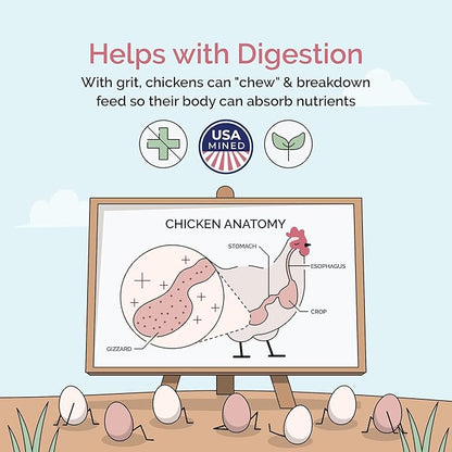 Chicken Grit for Layer &amp; Grower Chickens Age 8-20+ Weeks - 100% Natural Mineral Chicken Grit Quartzite, Poultry Grit, USA Mined, 4 lbs