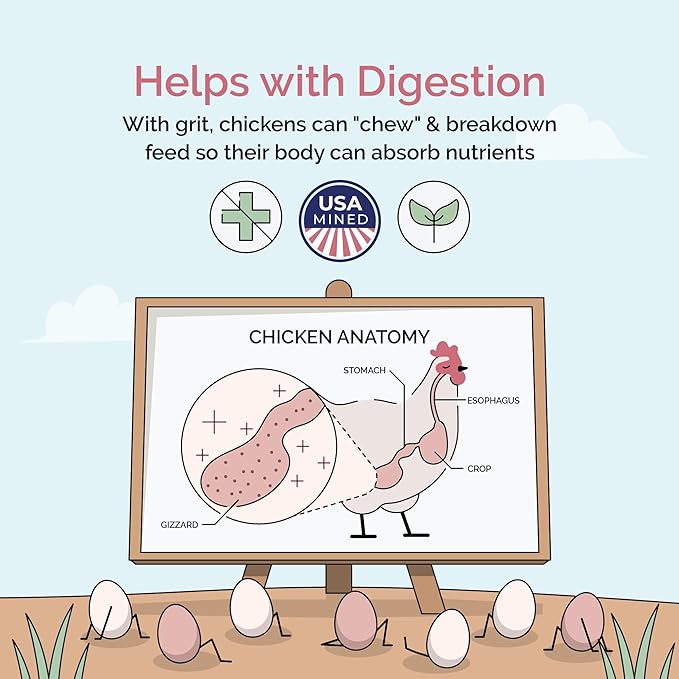 Chicken Grit for Layer &amp; Grower Chickens Age 8-20+ Weeks - 100% Natural Mineral Chicken Grit Quartzite, Poultry Grit, USA Mined, 50 lbs