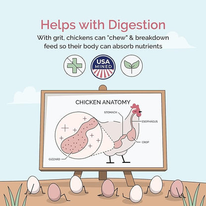 Chicken Grit for Layer &amp; Grower Chickens Age 8-20+ Weeks - 100% Natural Mineral Chicken Grit Quartzite, Poultry Grit, USA Mined, 50 lbs