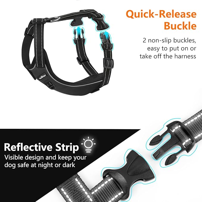 Dog Seat Belt Harness for Car, Dog Car Harness Adjustable Mesh Breathable &amp; Dogs Seatbelt Safety Tether with Elastic Bungee for Small Medium Large Pets(Carbon Black, S)