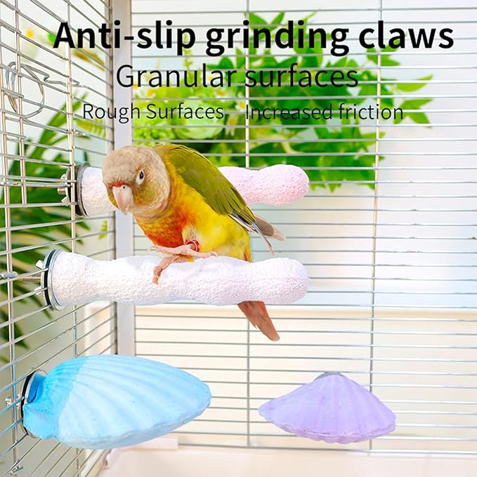 Bird Perches for Cage, Abrasive Surface High Calcium Mineral Parrot Perch Stand - Bird Nail File for Claw &amp; Beak Health, Colorful Ceramic Bird Cage Accessories (Purple, Shell)