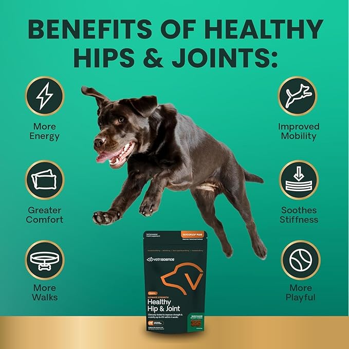 VetriScience Ultimate Strength Healthy Hip &amp; Joint Chews, GlycoFlex Glucosamine, Chondroitin and Green-Lipped Mussel Joint Support Supplement for Dogs, Soothe Joint Discomfort, Duck, 60 Count