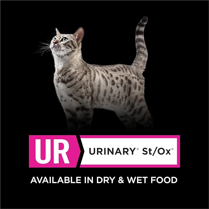 Pro Plan Veterinary Diets Purina UR Urinary St/Ox Savory Selects Feline Formula Turkey &amp; Giblet Recipe in Sauce Wet Cat Food - (Pack of 24) 5.5 oz. Cans