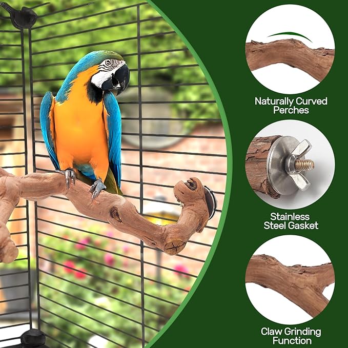 4-Piece Bird Perch Set with Rotating Ball Stand - Natural Wood Bird Gym &amp; Playground for Parrots, Cockatiels, Budgies
