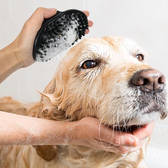 Dog Brush Kit for Grooming Short &amp; Long Haired Dogs &amp; Cats, 4-in-1 Pet Grooming Set with Self-Cleaning Slicker Brush, Deshedding Tool, Shampoo Bath Comb, Massge Comb (Pink Black)