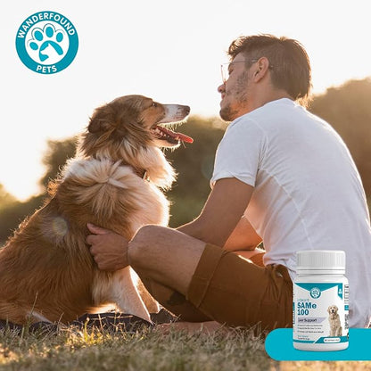 Wanderfound Pets Same 100 Liver Support for Dogs - Same S-Adenosyl-L-Methionine Hepatic Supplement for Liver &amp; Brain Support - Bacon Flavored Sam E, Manufactured in The USA - 30 Chewable Tablets