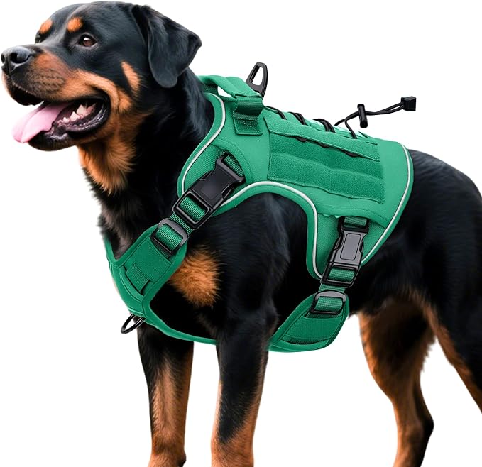 Heavy-Duty Tactical Dog Harness for Large Dogs, No Pull Adjustable Reflective Pet Vest with Molle System, K9 Military-Grade Control for Service Training, Outdoor &amp; 10+ Breeds, Turquoise, X-Large