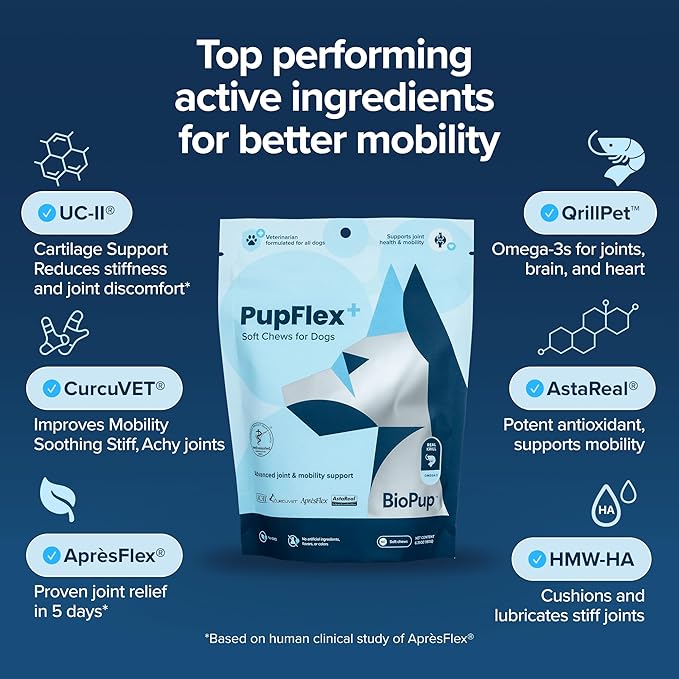 PupFlex+ Hip and Joint Supplement Dogs, Vet Created Soft Chews with UC-II® Collagen for Dogs, CurcuVET® &amp; Omega 3, Proven More Effective Than Glucosamine Chondroitin, Dog Joint Supplement (60 ct)