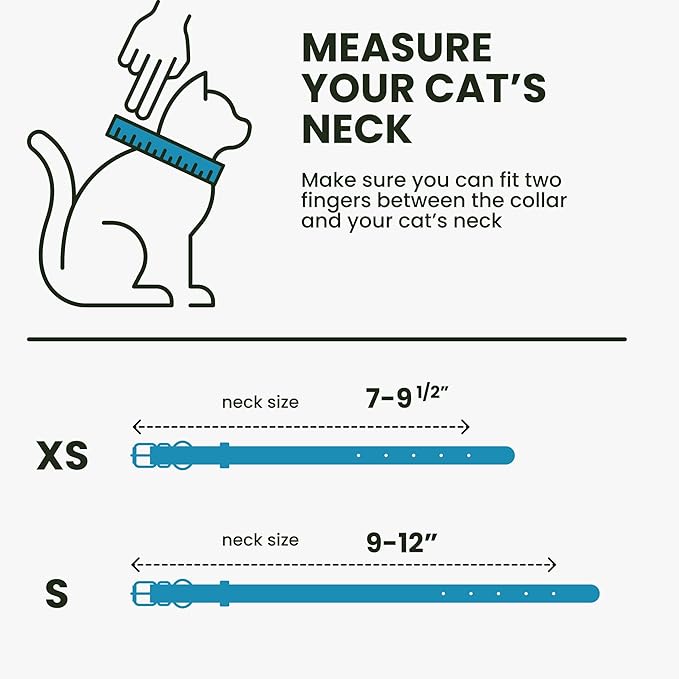 BRONZEDOG Leather Cat Collar with Removable Bells Non Breakaway Kitten QR Tag for Girl Boy (7" - 9" for Cats, Blue &amp; Silver)