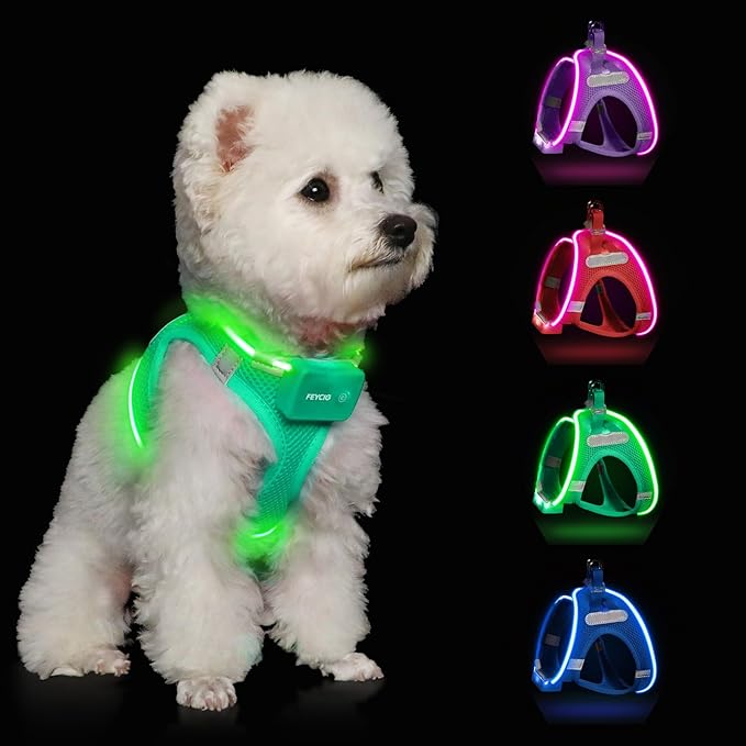 Light Up Dog Harness,Rechargeable LED Dog Harness for Small Medium Large Dogs,Reflective Lighted Safety Vest for Night Walking &amp; Camping,Lightweight &amp; Adjustable,Light Green,XS
