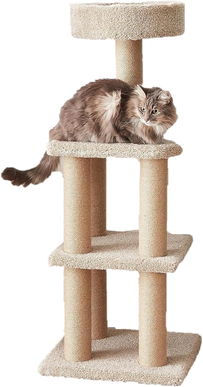 Amazon Basics Cat Tree - Indoor Cat &amp; Kittens Multi-Level Climbing Activity Tower with Scratching Posts, Large (45.9"H) - Beige