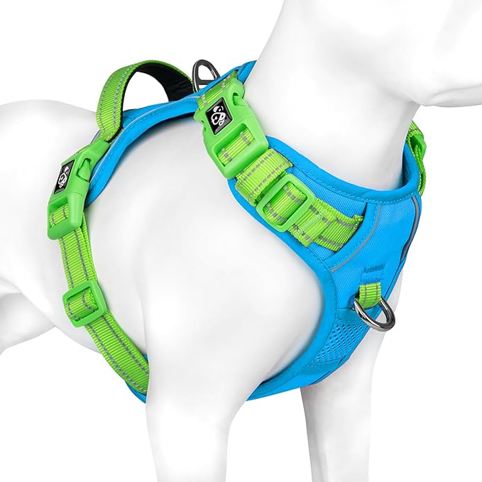 PHOEPET No Pull Dog Harness, Unique Colors Reflective Adjustable Dog Vest, with Soft Training Handle Metal Clips for Small Medium Large Dogs (Blue Base &amp; Green Straps,XL)