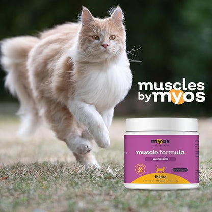 Powered by Fortetropin for Senior Cats - Aids Weight Gain, Muscle Growth &amp; Mobility Support - Natural, Cat Nutritional Supplement - 180 Servings