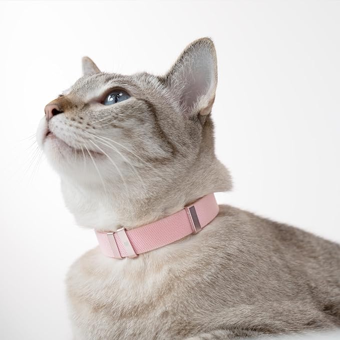 Safety Cat Collar - U.S. IDA Gold Awarding Design, Elastic Quick Release, Non Breakaway - Lightweight for Kitten, Neck Fit 5.9&