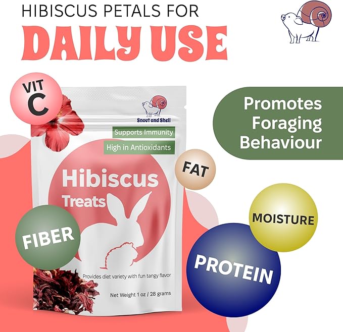 Snout and Shell Hibiscus Treats – 100% Natural Dried Flowers for Small Pets – Immunity Support &amp; Antioxidants – Healthy Snack for Rabbits, Guinea Pigs, &amp; Chinchillas (1 oz)