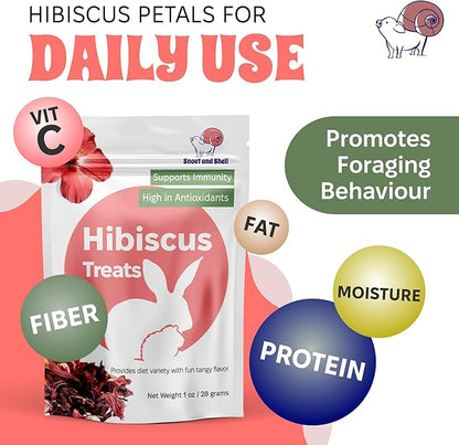 Snout and Shell Hibiscus Treats – 100% Natural Dried Flowers for Small Pets – Immunity Support &amp; Antioxidants – Healthy Snack for Rabbits, Guinea Pigs, &amp; Chinchillas (1 oz)