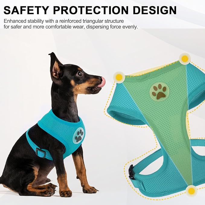 BINGPET No Pull Dog Harness,All Weather Mesh Step-in Vest Harness for Small Dogs,Breathable Mesh Puppy &amp; Cat Harness