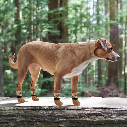 KOOLTAIL Dog Socks for Hot/Cold Pavement to Prevent Licking Paws Scratching,Anti Slip Pet Boots&amp;Paw Protector for Hardwood Floors,Traction Control Grip Booties for Small Medium Large Senior Dogs M