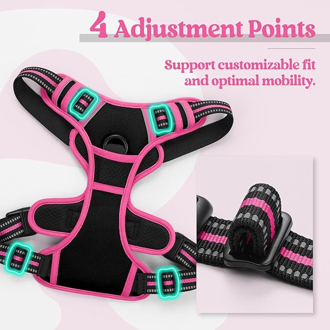 rabbitgoo Dog Harness No Pull with 2 Leash Clips, Adjustable Soft Padded, Reflective Oxford No Choke Pet Vest with Easy Control Handle for Large Dogs, Black &amp; Hot Pink, M